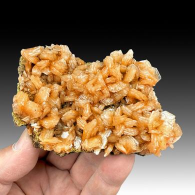 Stellerite