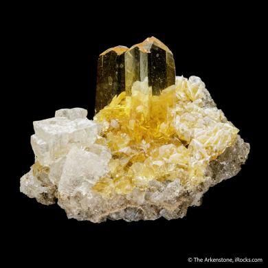 Gypsum var. Selenite and Halite