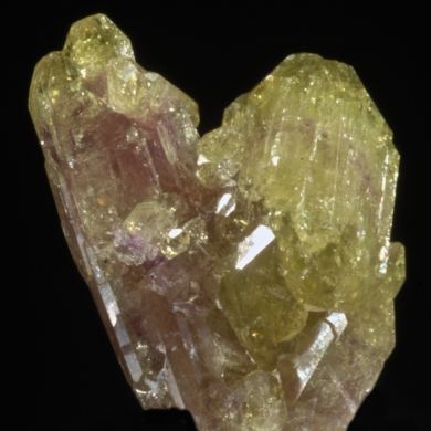 Vesuvianite