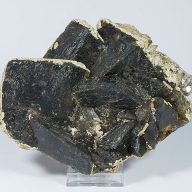 Siderite with Muscovite