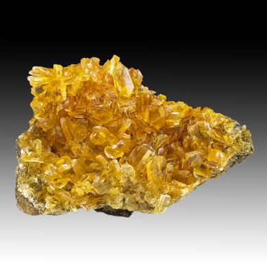 Gypsum