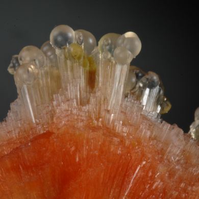 Chalcedony-\