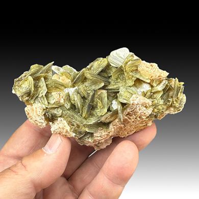 Muscovite with Albite