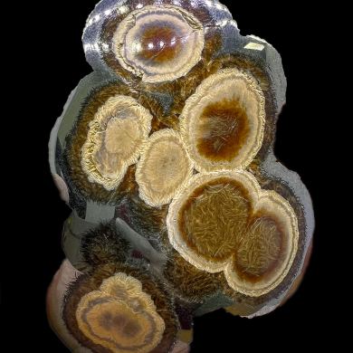 Baryte, marcasite