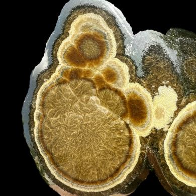Baryte, marcasite