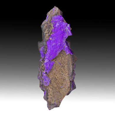 Sugilite