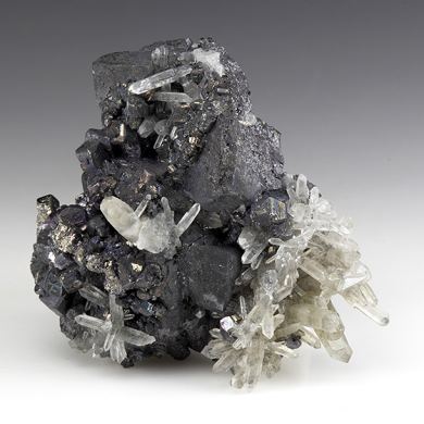 Tetrahedrite with Pyrite, Hubnerite, Stolzite, Quartz, Pyromorphite