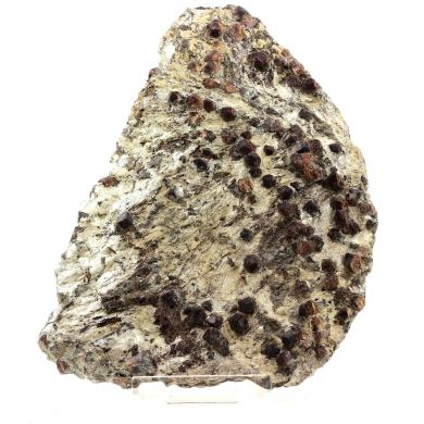 Almandine Garnet + Micaschist. 6228.5 ct.