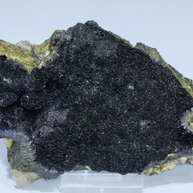 Montroseite