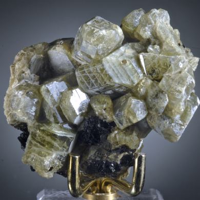 Diopside, Biotite