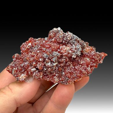 Sphalerite with Galena (2264)