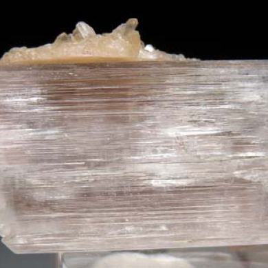 Stilbite on Kunzite