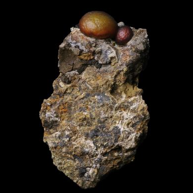 Lussatite Bourrière 