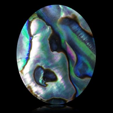 Abalone 32,82 ct 