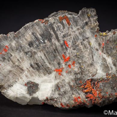Realgar and Orpiment replacing fossil coral