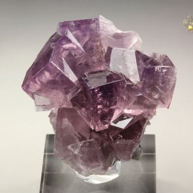 fluorescent FLUORITE