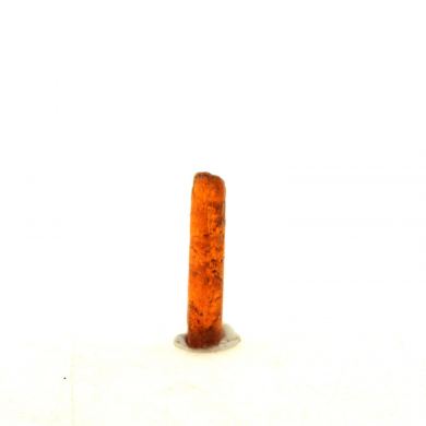 Orange Kyanite. 2.68 ct.
