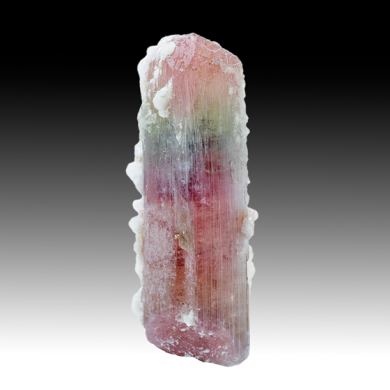 Liddicoatite-Elbaite