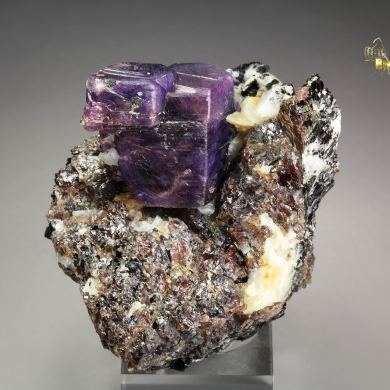 CORUNDUM var. RUBY, MUSCOVITE