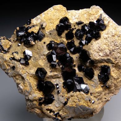 Andardite var. Melanite
