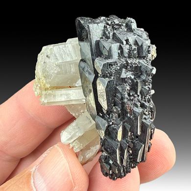 Ferberite with Quartz