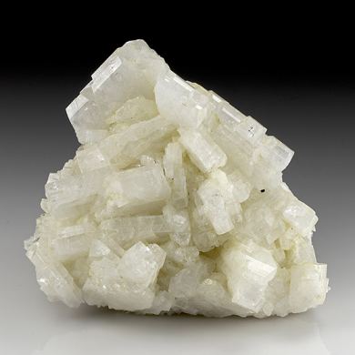 Albite