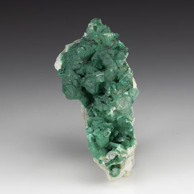 Pseudomalachite with Quartz