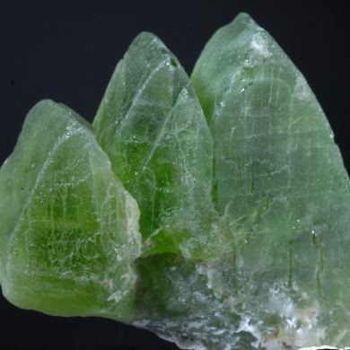 Peridot (var. Forsterite) gem crystals