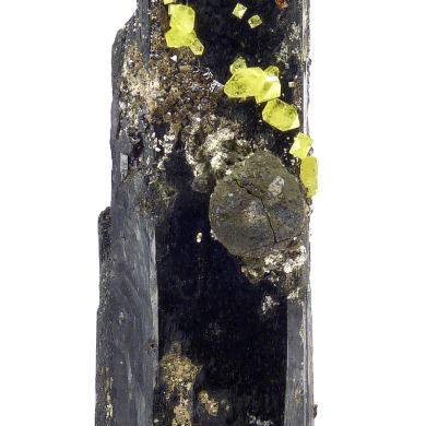 Zircon, aegirine, chamosite, titanite