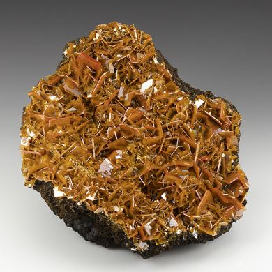 Wulfenite