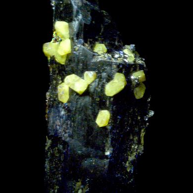 Zircon, aegirine, titanite, magnetite