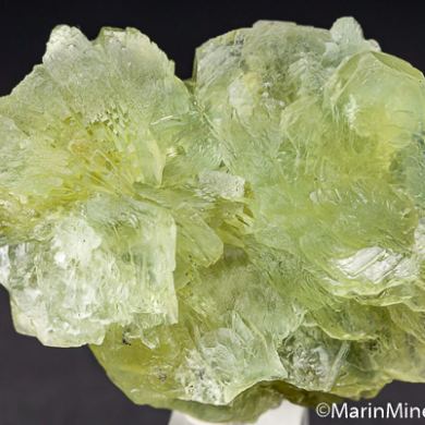 Prehnite