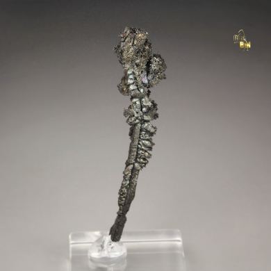 SILVER - SPINEL LAW TWIN floater