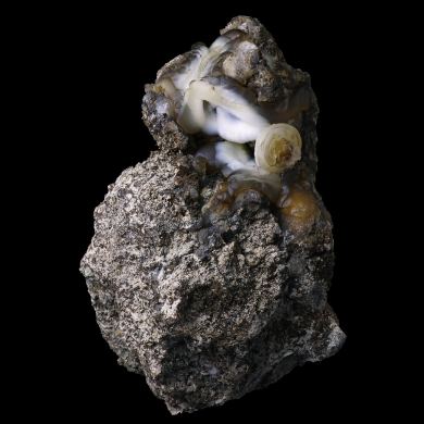 Lussatite Dallet 