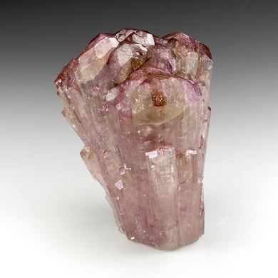 Liddicoatite