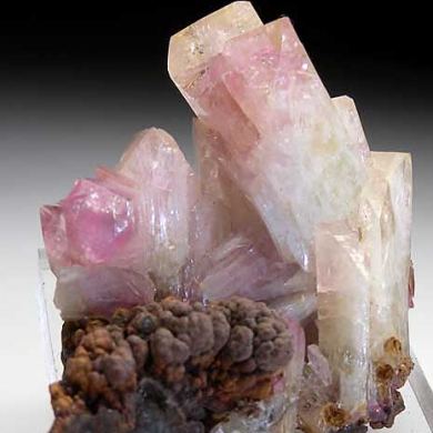 Manganoan Adamite