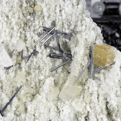 Rutile with Siderite, Albite, Muscovite, Fluorapatite, Calcite, Quartz, Pyrite