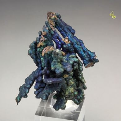 CHALCOCITE, DJURLEITE