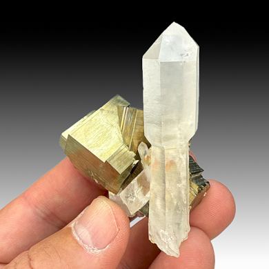Quartz with Pyrite (1623)