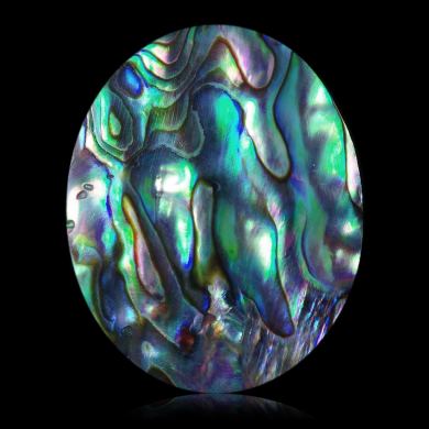 Abalone 42,00 ct 