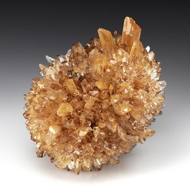 Creedite