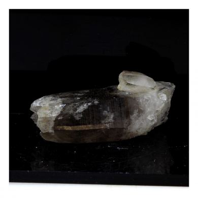 Smoky Quartz. 116.0 ct.