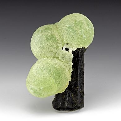 Prehnite on Epidote