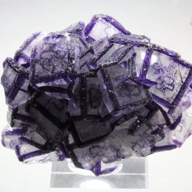 FLUORITE with PHANTOMS - border pattern