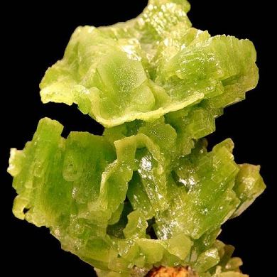 Pyromorphite