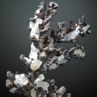 Silver - branching crystals with Calcite