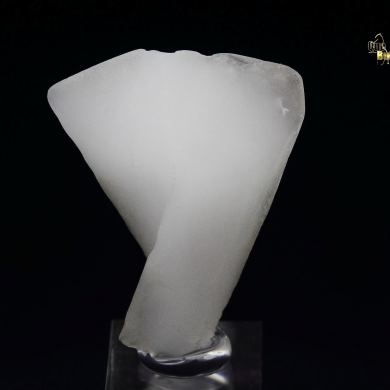 twinned WHEWELLITE