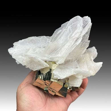Calcite with Pyrite
