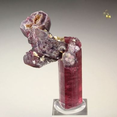 gem TOURMALINE var. ELBAITE, LEPIDOLITE