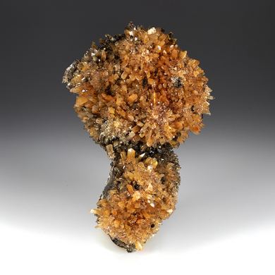 Creedite